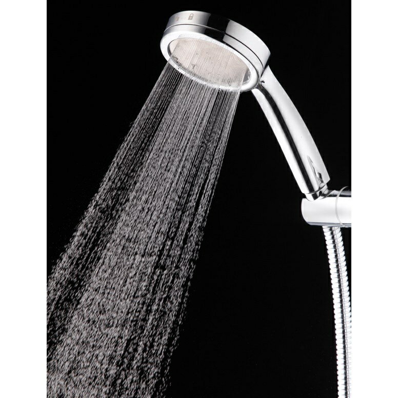 【黛琍居家】時尚手持花灑 蓮蓬頭  (免運) 1