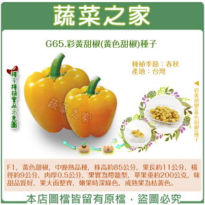 【蔬菜之家】G65.彩黃甜椒(黃色甜椒)種子(共有2種包裝可選)