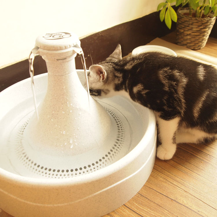 免運 寵物飲水器 好好喝水DRINKWELL寵物飲水機狗狗360度自動循環貓水機
