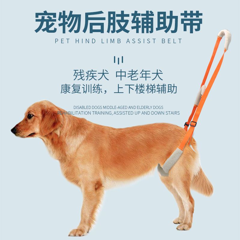 免運 附發票 寵物腿部走路支架護前後腿殘疾受傷高貓咪狗樓梯輔助帶老年癱瘓