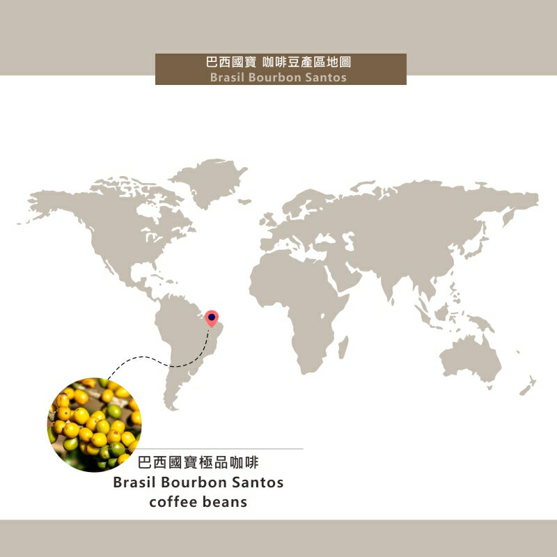 巴西國寶極品濾掛咖啡  Brasil Bourbon Santos | DALLYN世界嚴選莊園 ★滿299元超取免運 , 滿1500元店家宅配免運★ 5