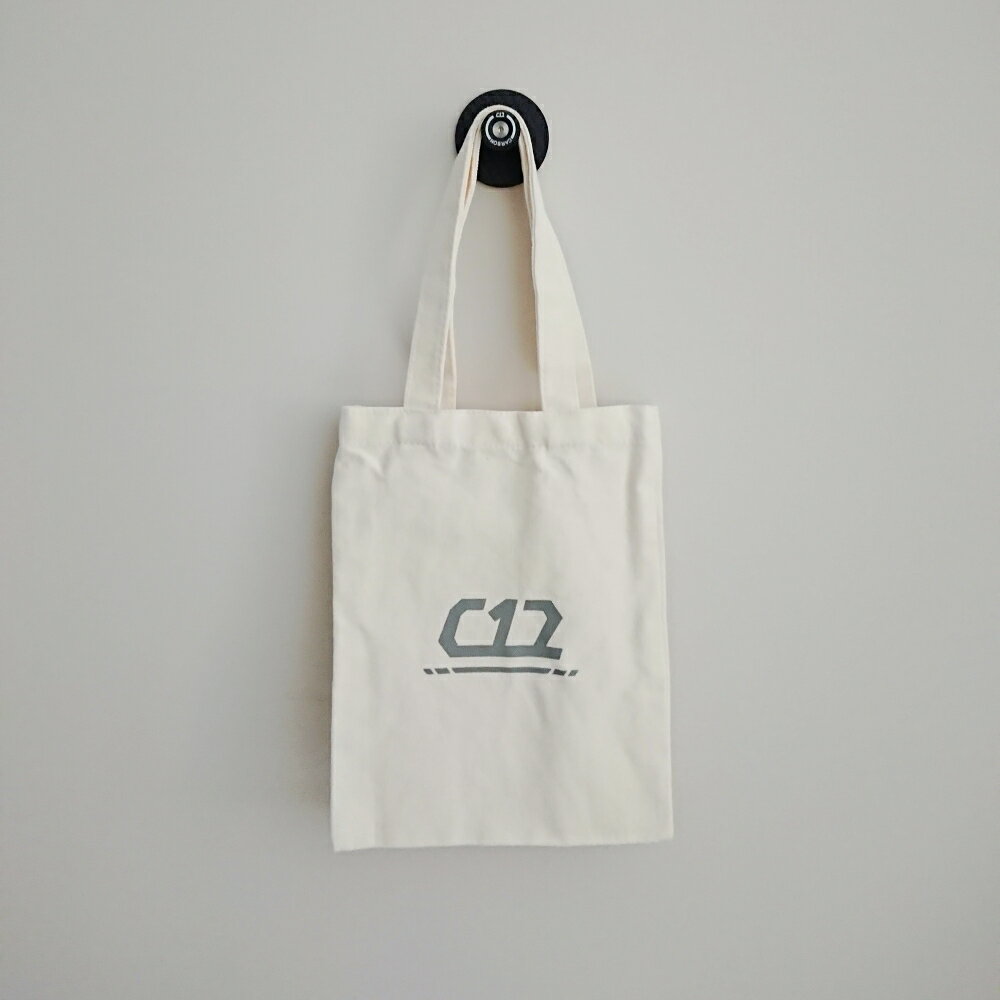 C12 簡約日式風22*28cm帆布袋 水壺袋 資料袋 手提袋 環保袋 購物袋
