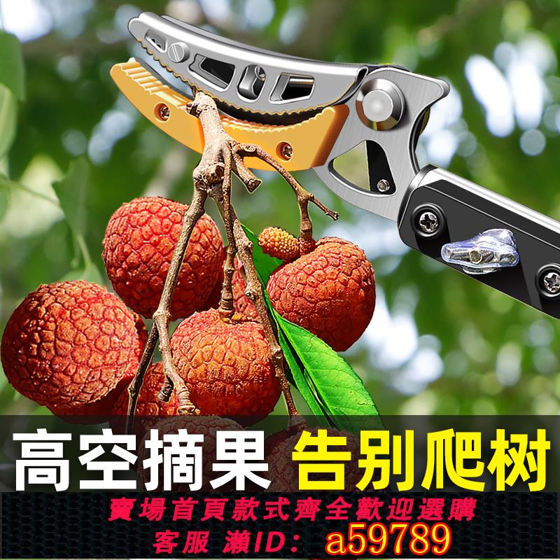 【臺灣公司 可打統編】德國品質高枝剪園林伸縮高空剪果樹枝加長鋸樹神器果樹採摘剪刀