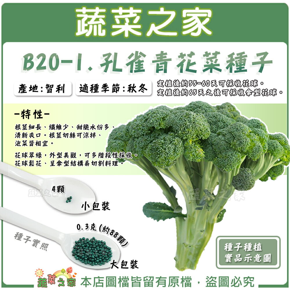 蔬菜之家 B 1 孔雀青花菜種子 共有2種包裝可選 蔬菜之家直營店 樂天市場rakuten