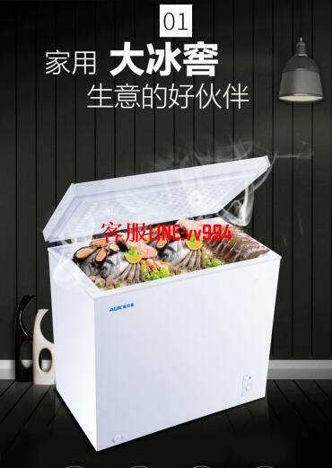 壹級節能小冰櫃家用冷凍櫃小型保鮮冷凍兩用冷櫃商用大容量 小輝hui ☆專賣店