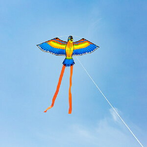 傳統手工風箏新手初學者微風易飛抗風成人大人兒童高檔小鸚鵡風箏