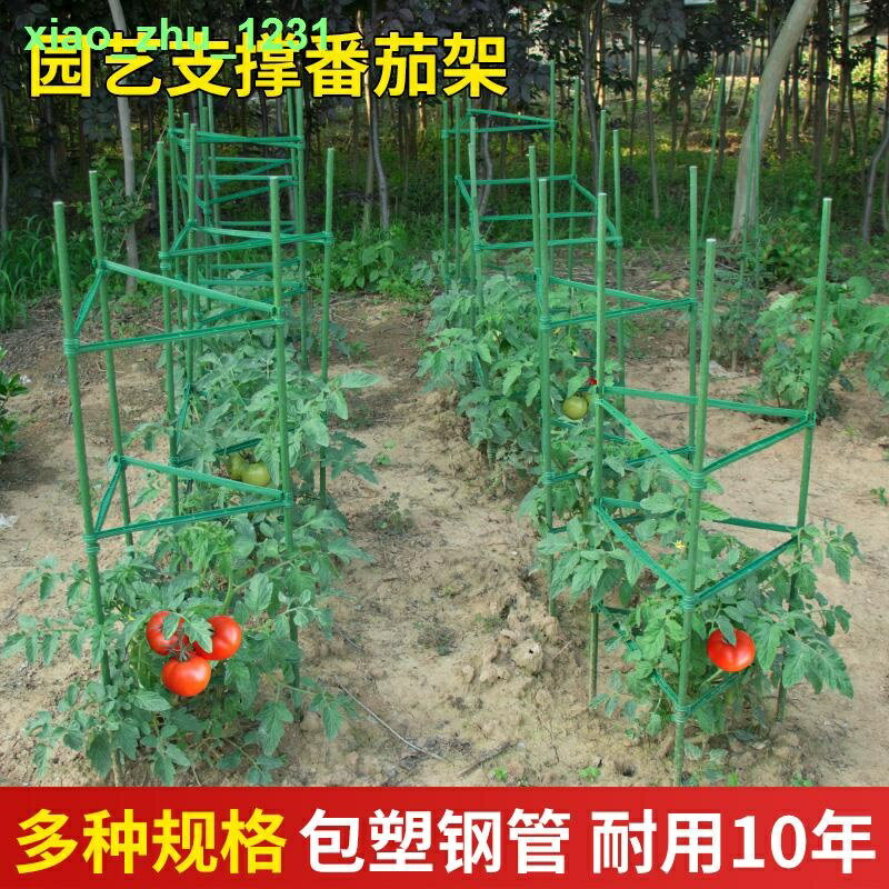 西紅柿支架黃瓜爬藤架園藝花卉綠植支撐桿陽臺地面花架固定番茄