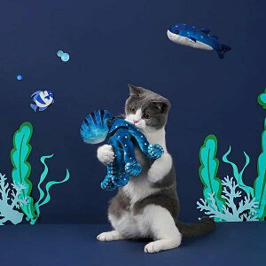 『台灣x現貨秒出』zeze海洋貓咪陪伴耐咬玩具內含貓薄荷貓玩具