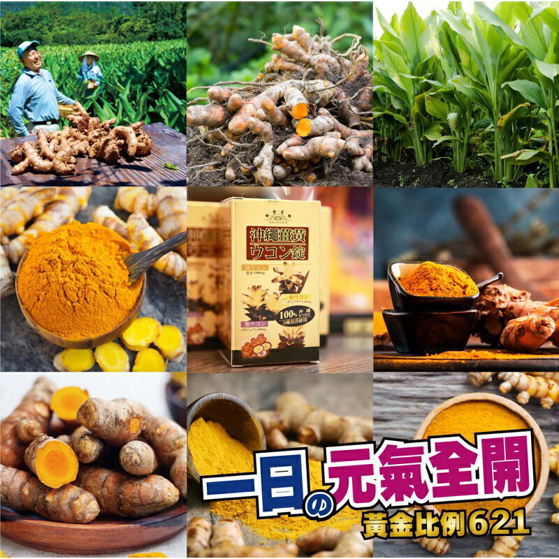 [沖繩嚴選]美島王朝-沖繩薑黃錠-黃金比例三種薑黃配方 3