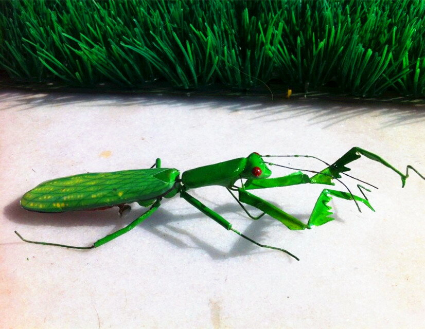 動物模型 仿真昆蟲 螳螂 磁鐵 場景布置 手工定做 攝影道具