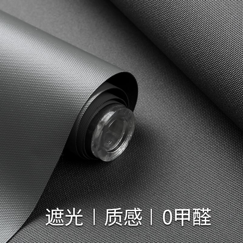 手動卷簾全遮光臥室卷拉式2021客廳輕奢房間兒童房窗簾上下拉簾卷 1