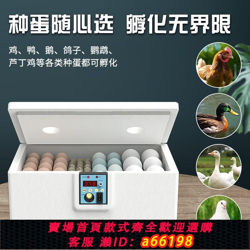 【臺灣公司 可開發票】孵化器小型家用水床孵化機全自動智慧迷你孵蛋器小雞鴨鵝蛋孵化箱