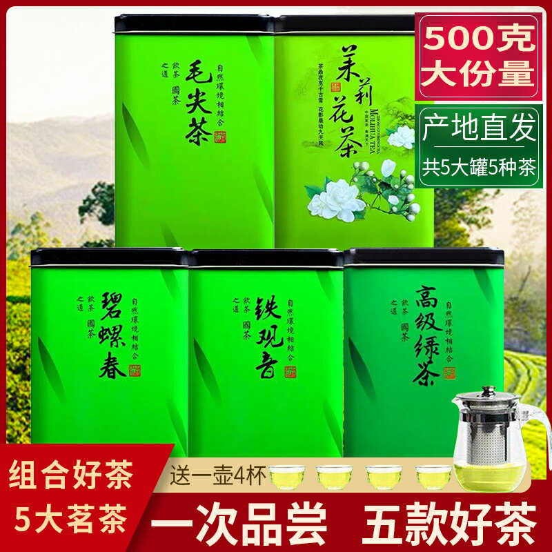 5大茗茶組合5罐裝共500g碧螺春雲霧綠茶毛尖茶茉莉花茶鐵觀音茶葉