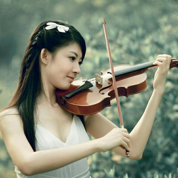 悠揚的絃音 | 久石讓宮崎駿動畫音樂小提琴輯 動漫配樂CD光碟碟片