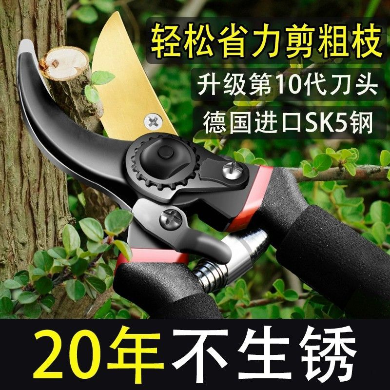 免運/可開票 快速出貨 日本進口不銹鋼園林園藝花藝剪摘果剪修枝剪稀果剪蔬果剪採果剪刀