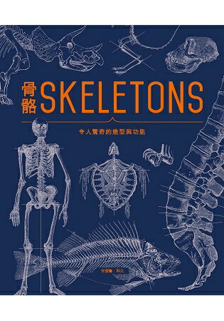 骨骼SKELETONS : 令人驚奇的造型與功能 | 拾書所