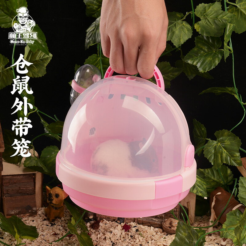 倉鼠非洲迷你刺蝟豚鼠寵物外帶手提籠花枝鼠金絲熊外出盒用品