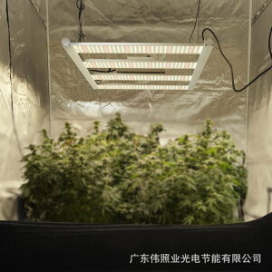 免運 大功率植物補光燈全光譜LED植物生長燈GROW LIGHT種植燈