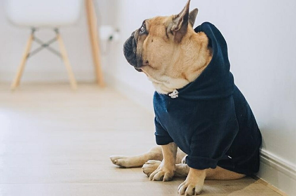 寵物冬衣 狗狗衣服金絲絨衛衣中小型犬新款寵物衣服款加厚保暖法斗衣服 瑪麗蘇