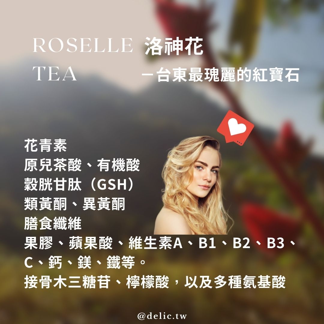 【台東瑰麗紅寶茶】台東天然洛神花茶：酸甜解渴，輕盈暢快！(200g)【Delic好食嗑】 4