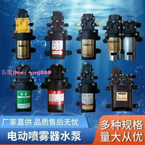 電動噴霧器電機12V高壓水泵自吸泵大功率增壓泵隔膜泵打藥機馬達
