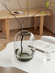 南十字星 大肚玻璃花瓶擺件客廳插花落地花器雪柳馬醉木透明水養