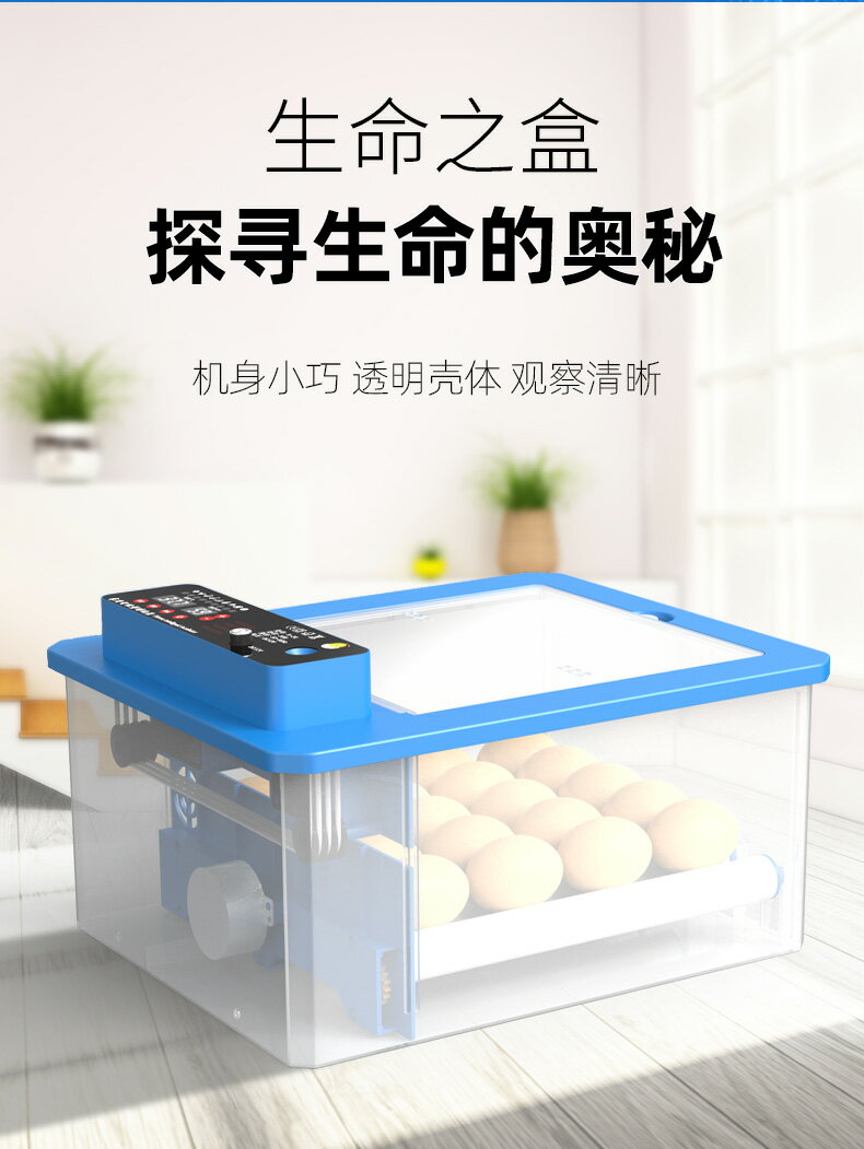孵蛋器小雞孵化器小型家用型兒童孵化機水床迷你全自動孵化箱便宜110V