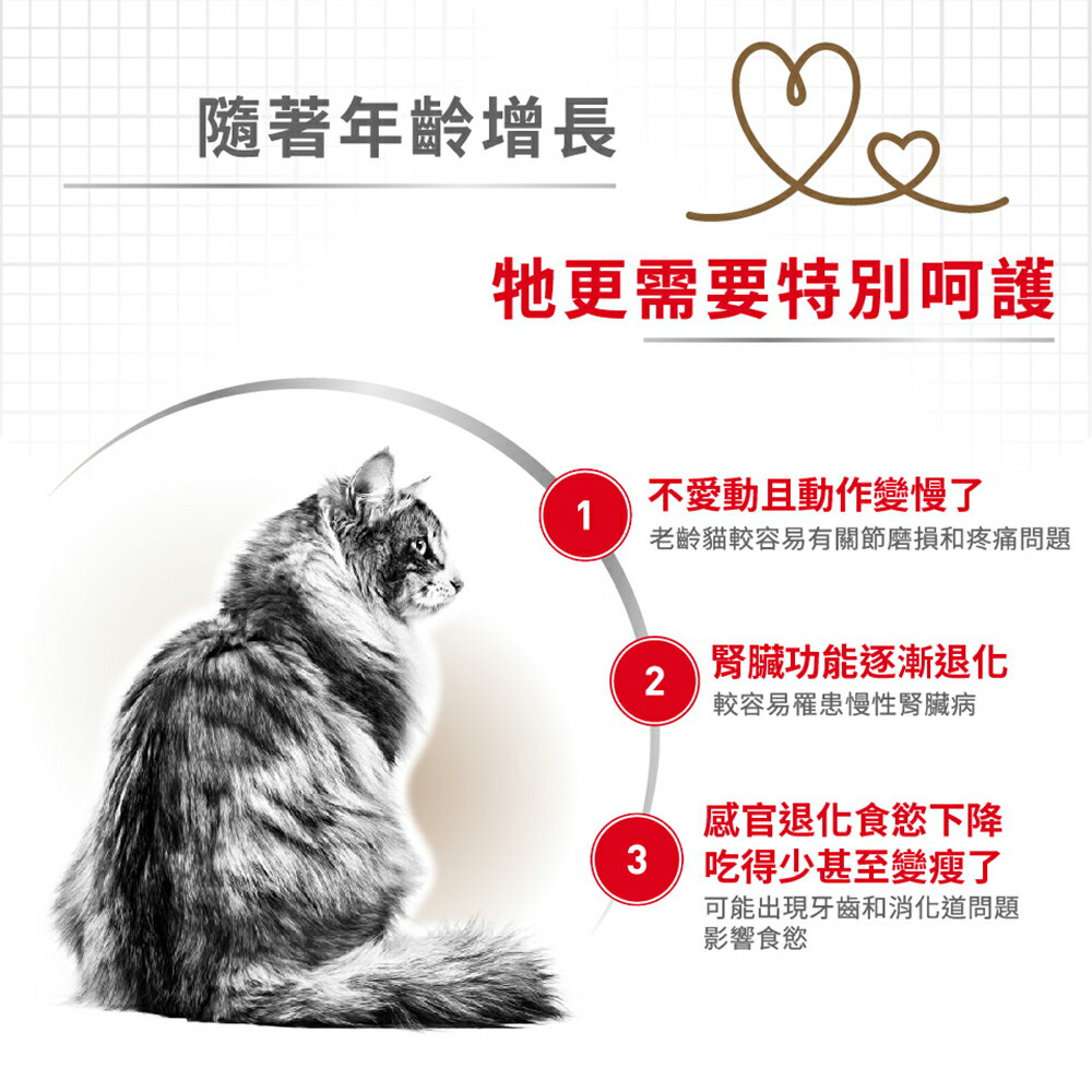法國皇家ROYAL CANIN 【A30+12 12+歲老貓】熟齡貓/老貓專用飼料2kg 專為老貓牙口設計 軟質地夾心 2 法國皇家ROYAL CANIN 【A30+12 12+歲老貓】熟齡貓/老貓專用飼料2kg 專為老貓牙口設計 軟質地夾心 2