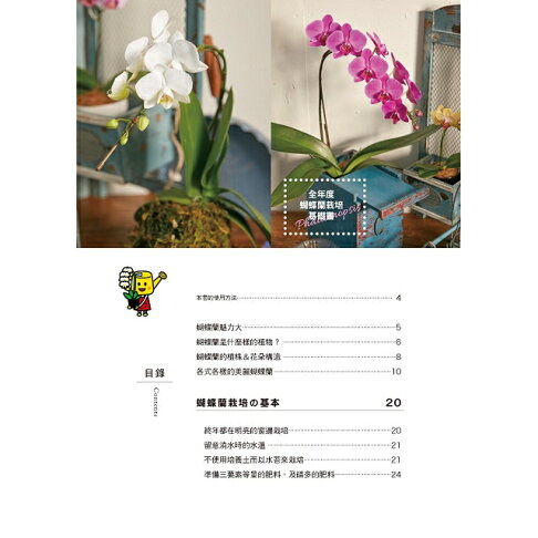 全年度蝴蝶蘭栽培基礎書 8
