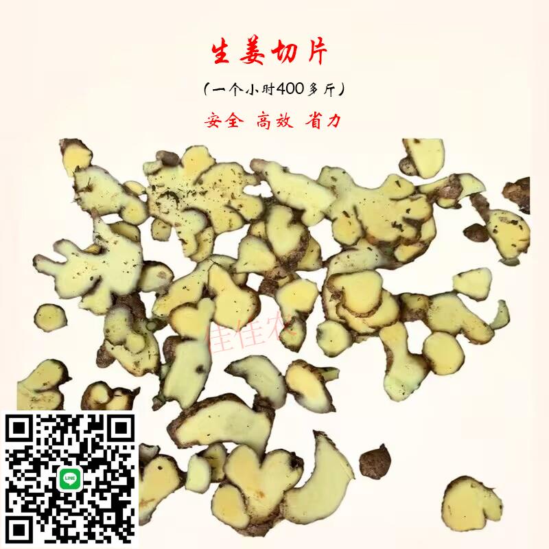 電動切片機切生薑洋姜南姜黃姜石榴何首烏切片機家用220V刨片機