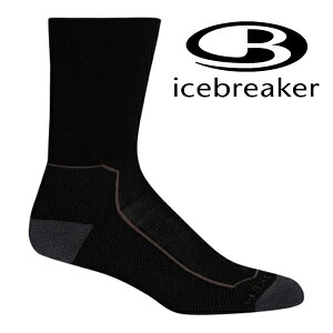 《台南悠活運動家》Icebreaker IB105097-272 女 中筒中毛圈健行襪 登山健行適用