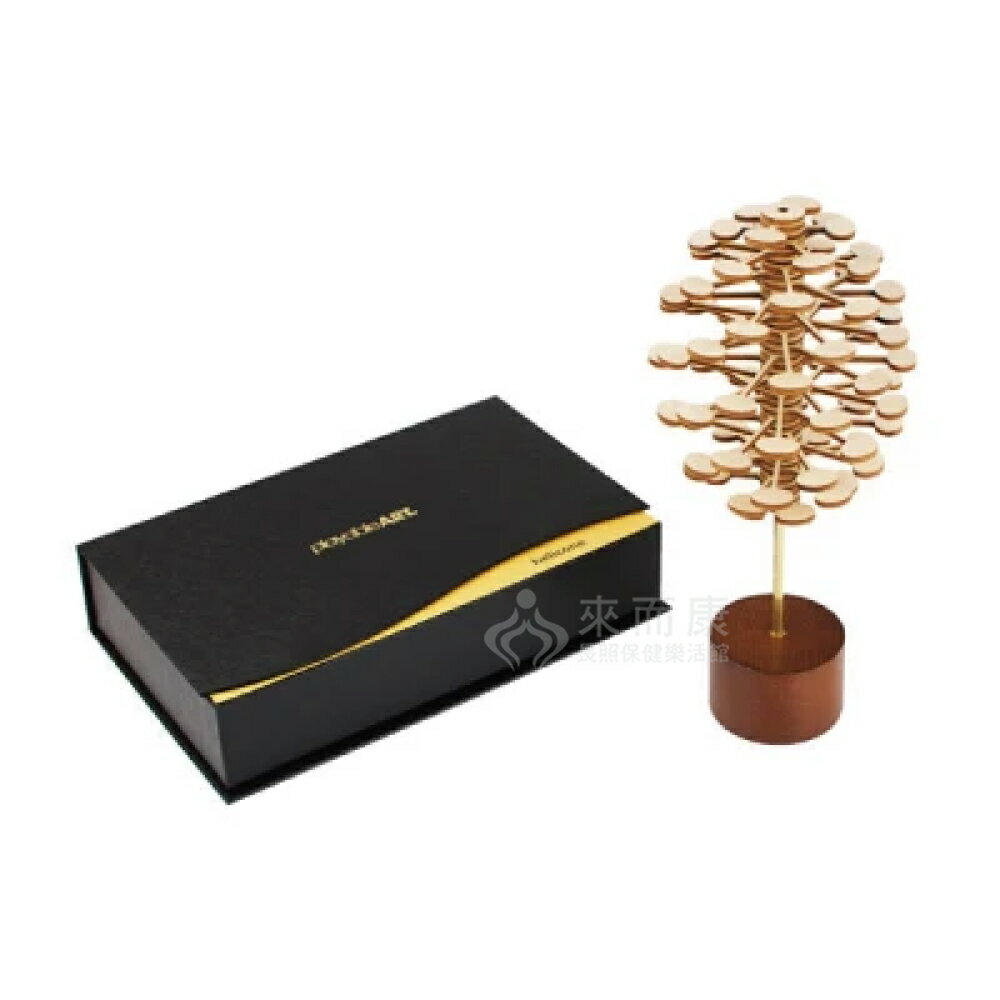 來而康 玩偶的家 playable art 藝智旋轉樂 A0431 迴旋 藝術 科學 創造 費氏 數列 遊戲 玩具