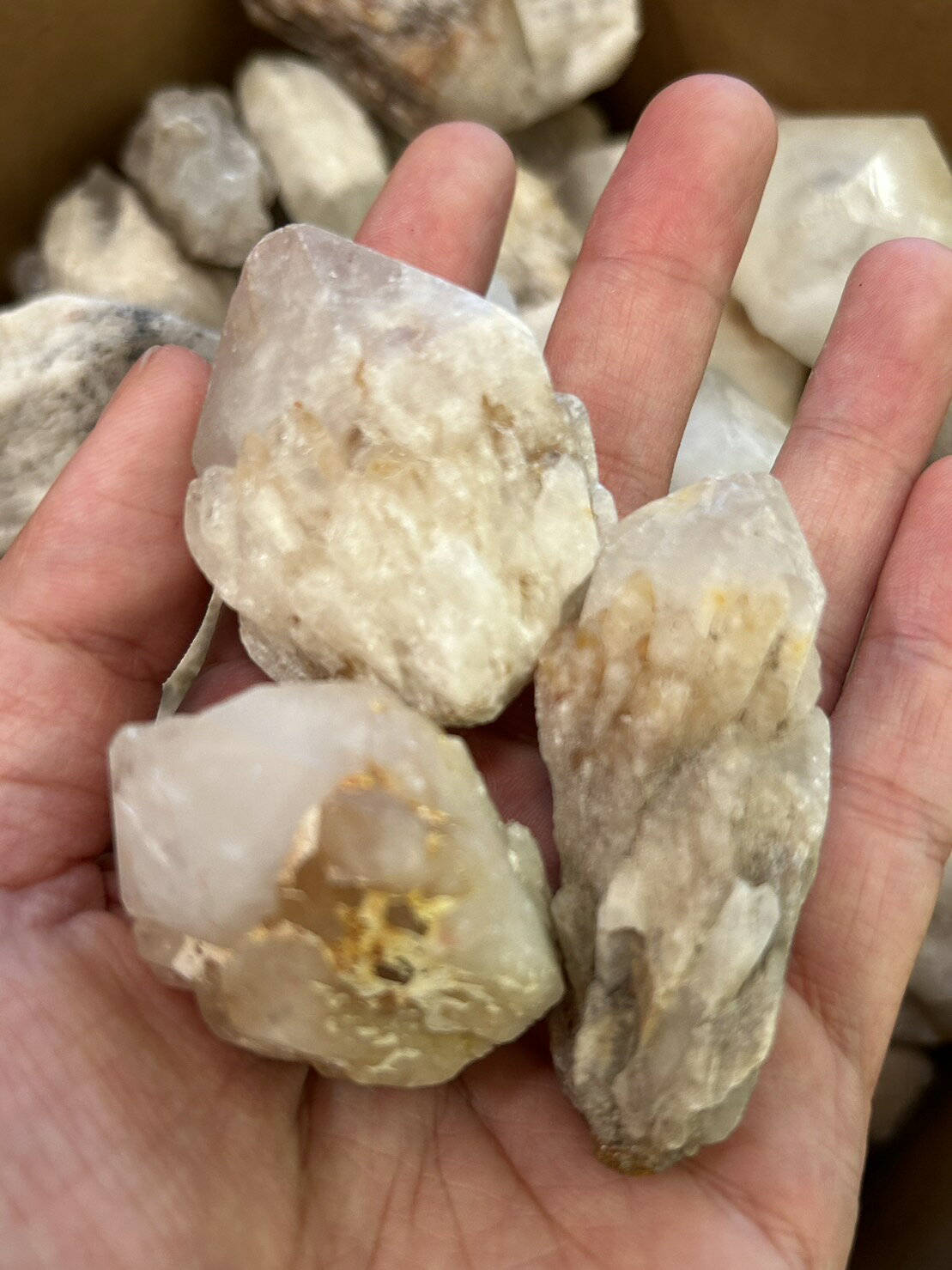 【轉運水晶】喜瑪拉雅波羅骨幹水晶  3顆1000 隨機出貨