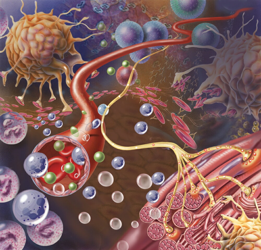 Posterazzi: Nerve ending seen in lower right sends pain message from ...