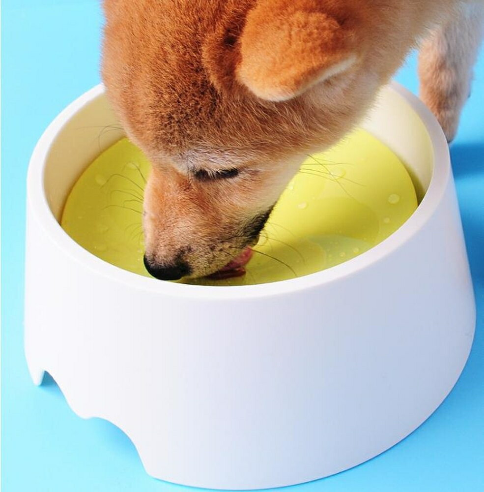 狗盆寵物水碗狗狗喝水器自動飲水貓咪防濺