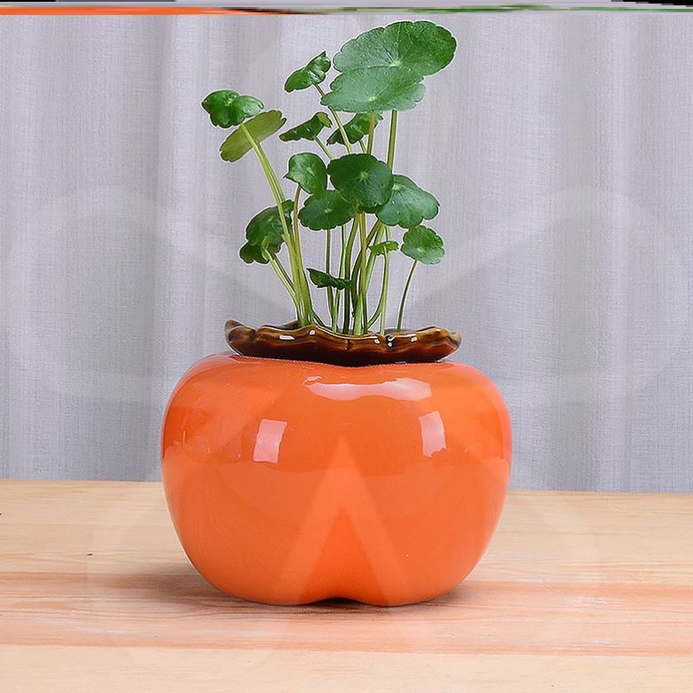 創意花瓶水養綠蘿水培花盆陶瓷柿柿如意北歐客廳桌面裝飾桌上擺件