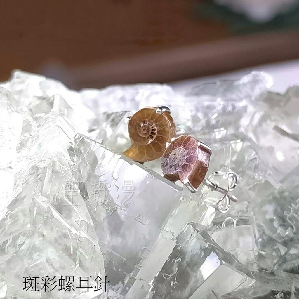【土桑展精選寶物】招財/幸運飾品---斑彩螺耳針 搬財螺 耳環 耳針 飾品 🔯聖哲曼🔯