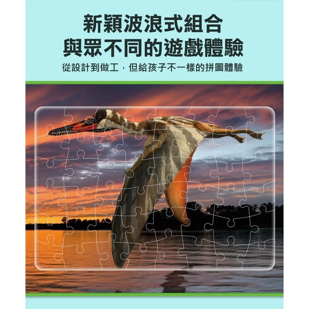 媽媽買 PNSO百科拼圖 風車圖書 恐龍拼圖書 翼龍拼圖 PNSO恐龍 恐龍百科拼圖 翼龍知識拼圖 恐龍益智拼圖書 兒童恐龍拼圖 5