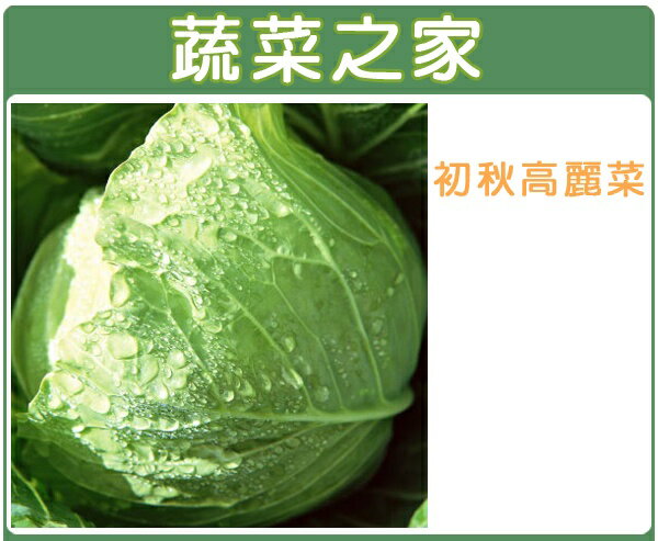 【蔬菜之家】B01.初秋高麗菜種子(共有2種包裝可選)