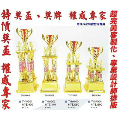 獎盃 獎牌 客製化 訂製各式比賽獎盃皆可承製喔 量多有優惠【大自在運動休閒精品店】