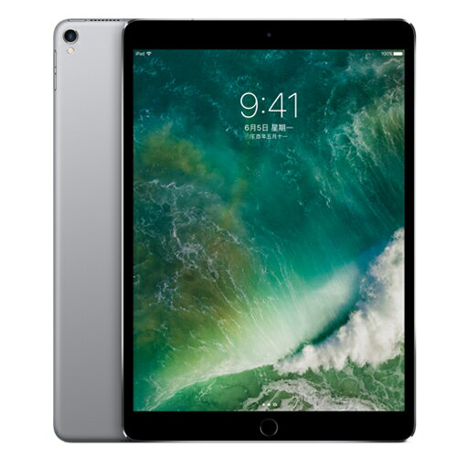 <br/><br/>  iPad Pro 10.5吋 64G Cell版MQEY2TA/A - 太空灰【愛買】<br/><br/>