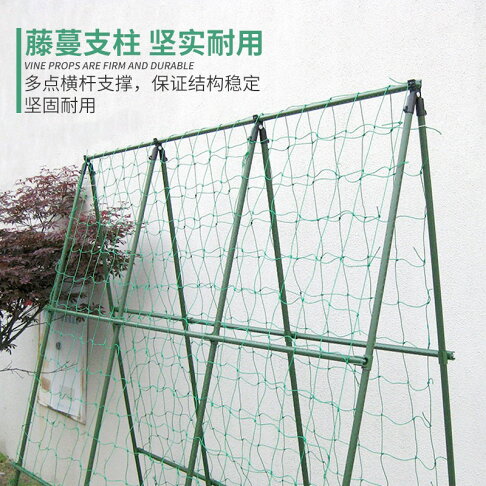 園藝支柱支架套裝豆角架黃瓜架子花支柱配爬藤網菜園蔬菜支架種植 協貿國際日用品生活6館 樂天市場rakuten 園藝支柱支架套裝豆角架黃瓜架子花支柱配爬藤網菜園蔬菜支架種植 協貿國際日用品生活6館 樂天市場rakuten