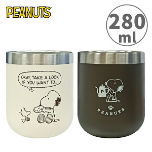 【日本正版】史努比 雙層不鏽鋼杯 280ml 保冷杯 保溫杯 不鏽鋼杯 Snoopy PEANUTS
