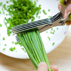 蔥花剪刀鋒利廚房用品 不銹鋼五層蔥花剪紫菜碎食剪強力多層剪刀