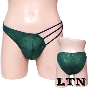 台灣製MIT透氣舒適性感男內褲．(LTN)C005綠-XL【本商品含有兒少不宜內容】