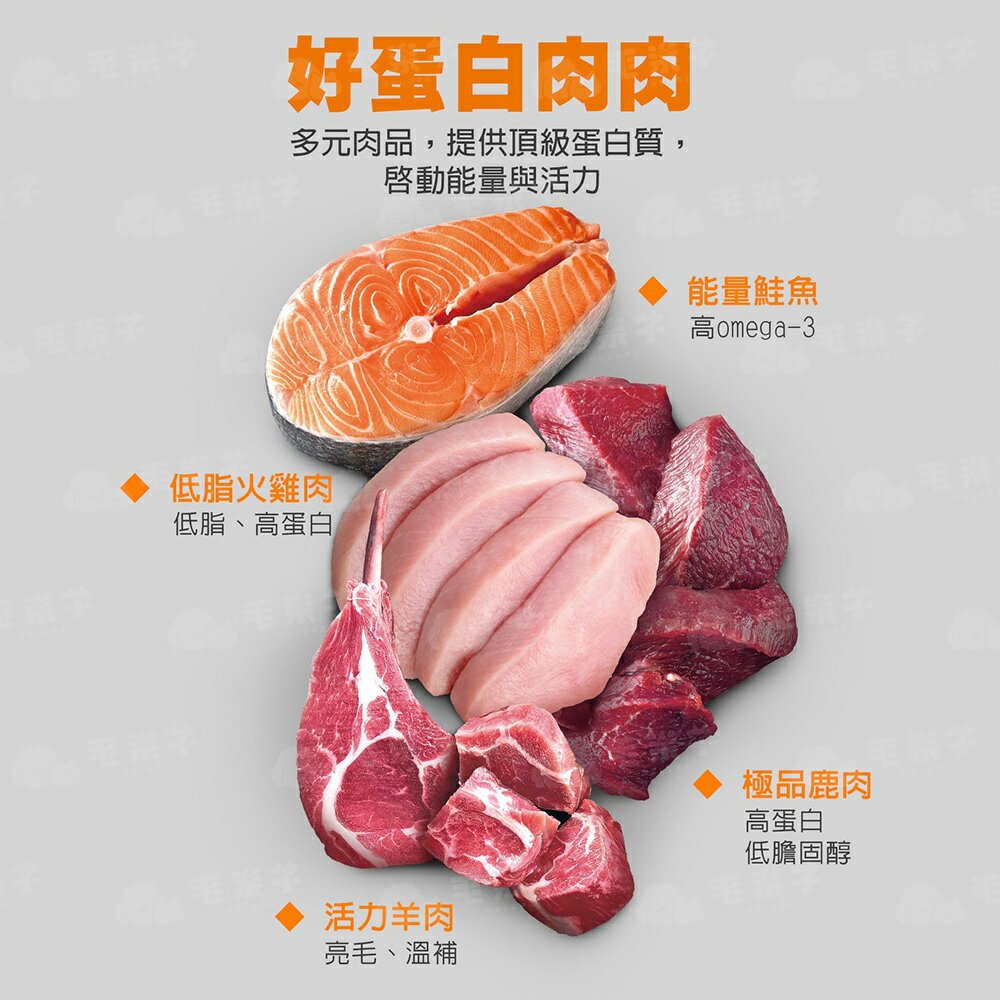 貓糧 貓飼料 貓乾糧 Energy系列貓糧 火雞 成幼 室內貓 熟齡貓低磷 全齡貓 3