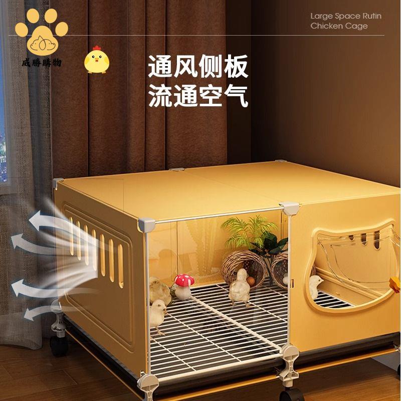 免運開發票 雞籠 養殖籠 兔籠 蘆丁雞飼養箱小雞鴨子觀賞專用籠家用室內大號造景屋新手養雞籠子 八折下殺ly14