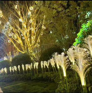 太陽能光纖蘆葦燈戶外防水庭院花園氛圍裝飾別墅陽臺插地草坪燈