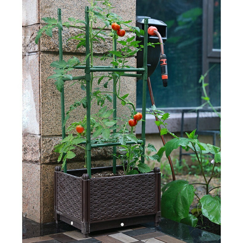 菜架子 爬藤架 瓜架 藤架 攀藤架種菜撐桿西紅柿黃瓜番茄植物架子 攀爬支架 藤管架 絲瓜 葡萄架 爬藤果架 | 千織屋 | 樂天市場Rakuten