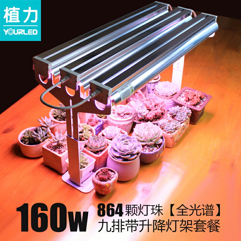 植物燈 植物生長燈 補光燈 植力四排植物燈】全光譜led多肉補光上色花卉育苗生長室內家用耶誕節